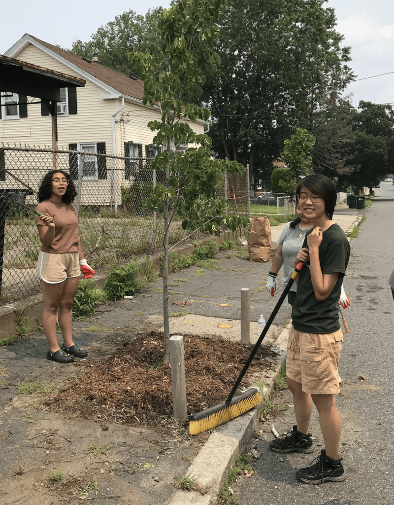 High-school-age youth weeding and mulching street tree pits
